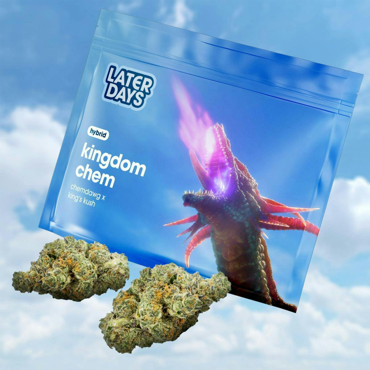 Kingdom Chem | Big Buds | 3.54g at AYR Cannabis Dispensary Sebring