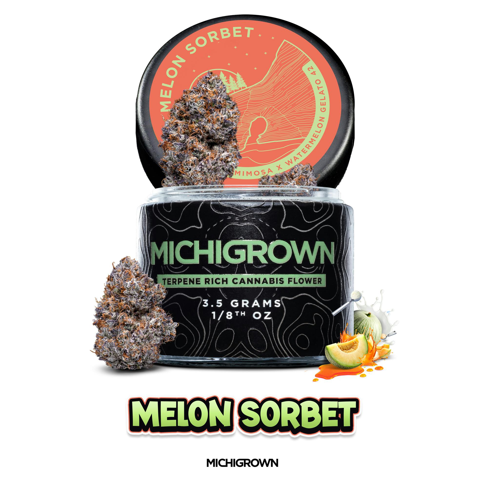 MELON SORBET - 3.5 GRAMS - PREMIUM FLOWER - JARS by MICHIGROWN