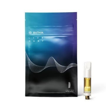Animal Scout | Live Resin Disposable | 1g by Rythm