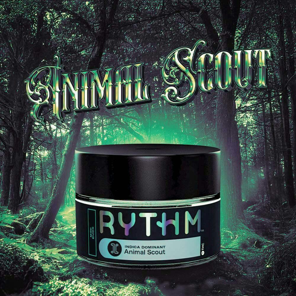 Animal Scout | Smalls | 7g by Rythm