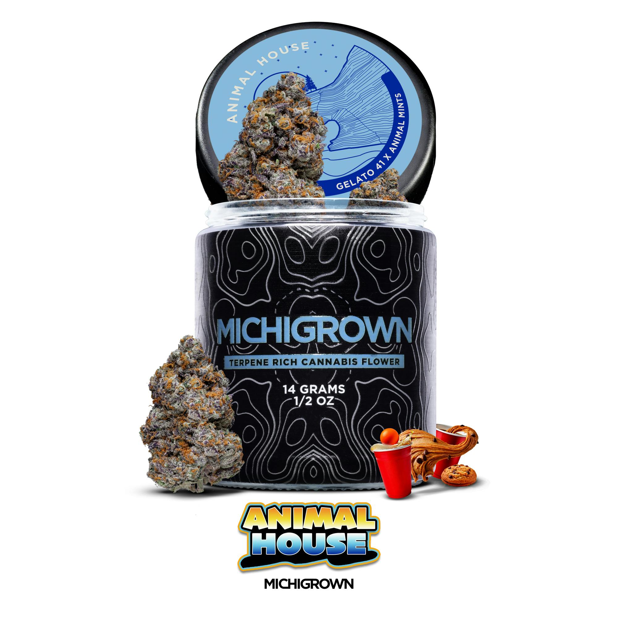 ANIMAL HOUSE - 14 GRAMS - PREMIUM FLOWER - JARS by MICHIGROWN
