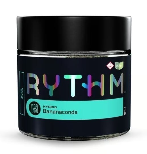 Bananaconda | Smalls | 14g by Rythm