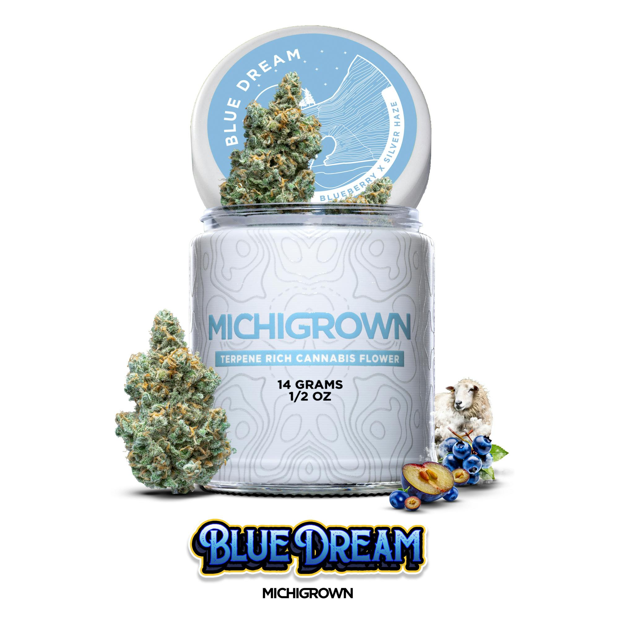 BLUE DREAM - 14 GRAMS - PREMIUM FLOWER - JARS by MICHIGROWN