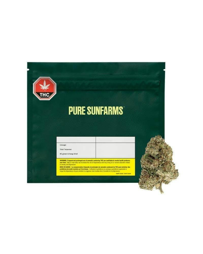 Pink Rhino | Big Buds | 14g