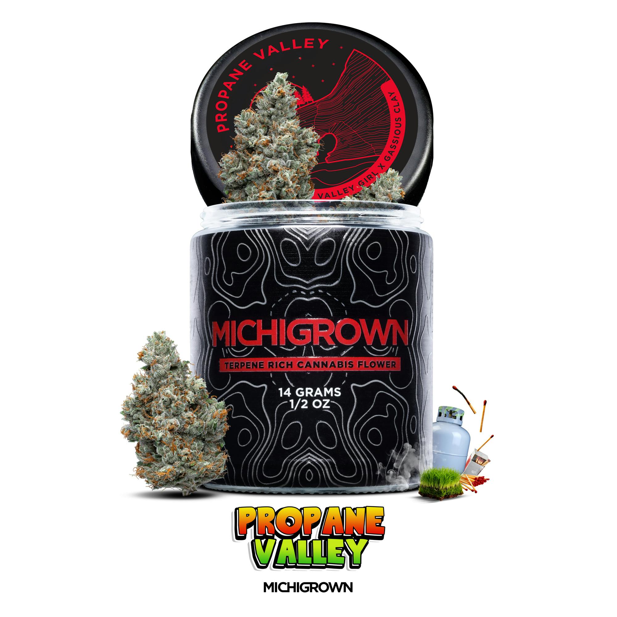 PROPANE VALLEY - 14 GRAMS - PREMIUM FLOWER - JARS by MICHIGROWN