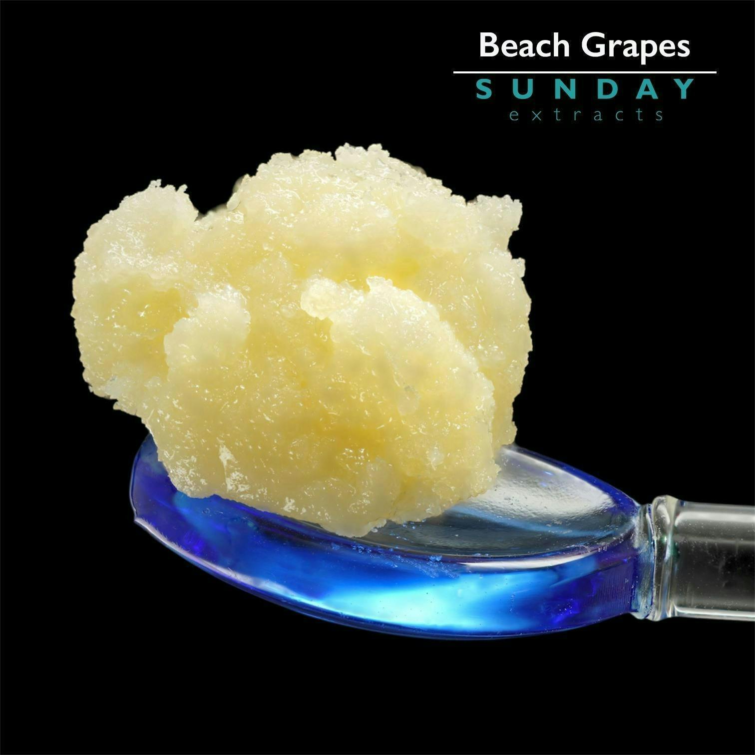 Beach Grapes | Concentrate | 1g