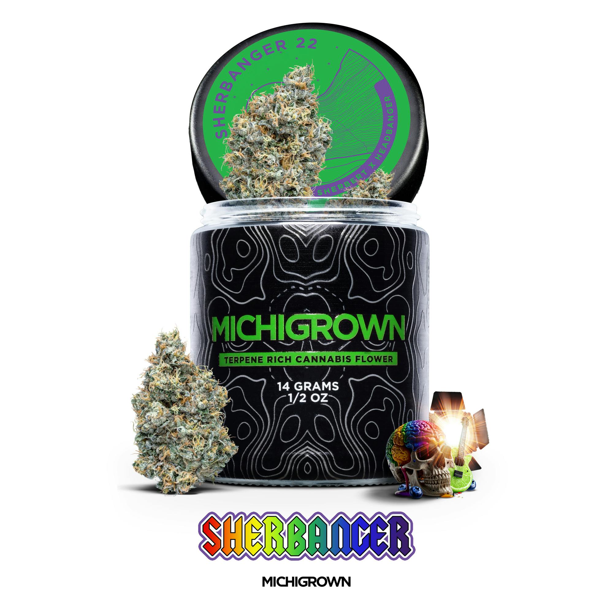 Sherbanger 22 | Buds | 14g by MICHIGROWN