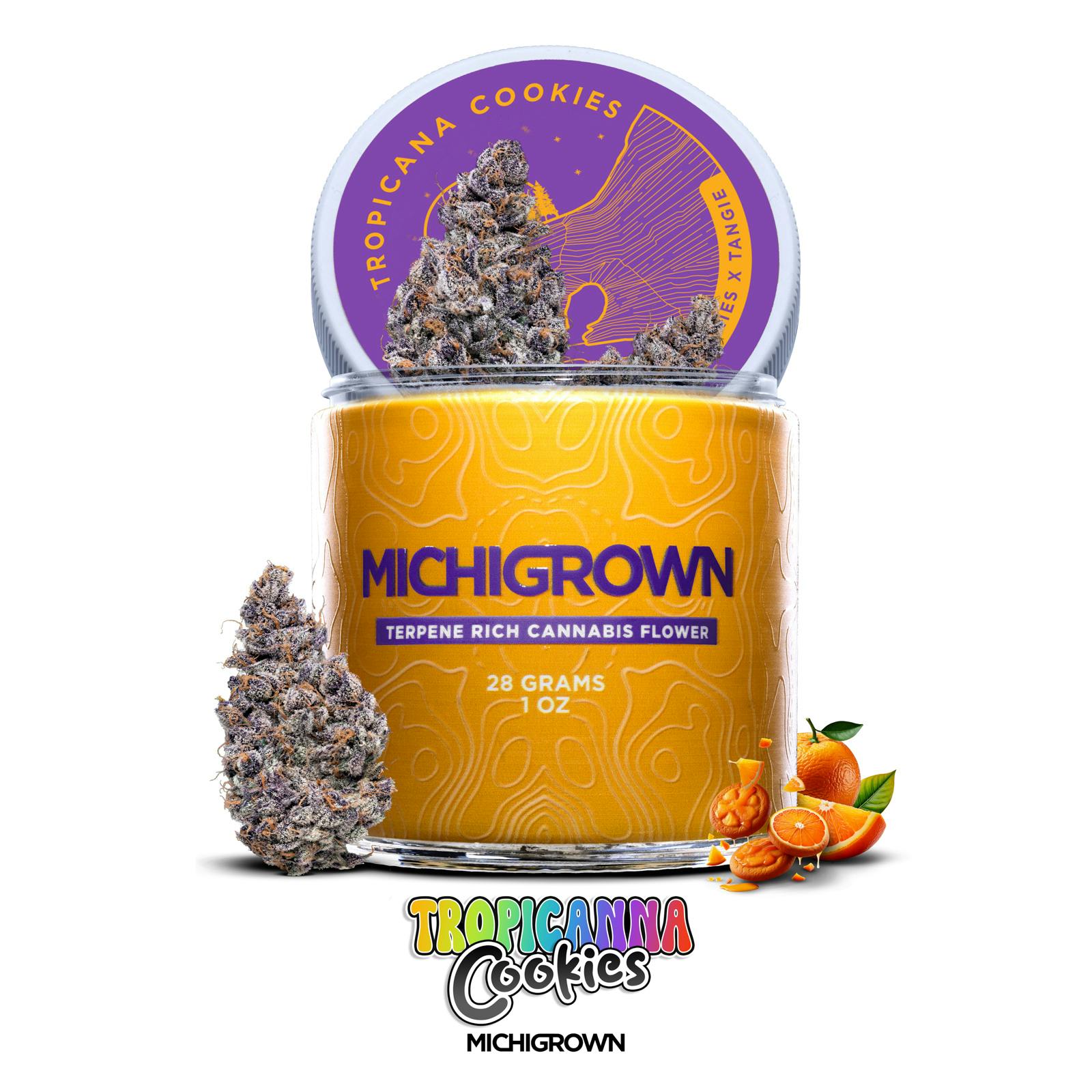 TROPICANNA COOKIES - 28 GRAMS - PREMIUM FLOWER - JARS by MICHIGROWN