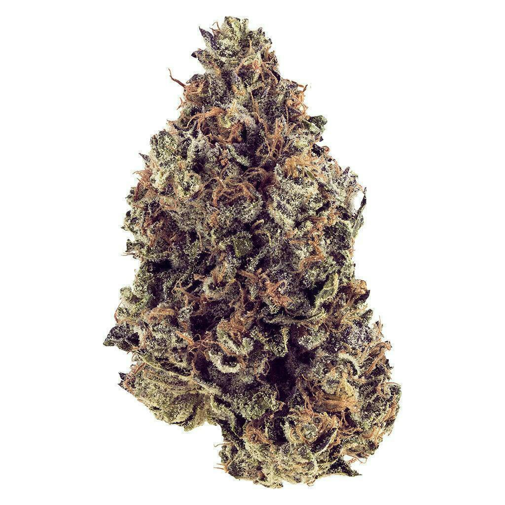 Purple God | Big Buds | 3.5g