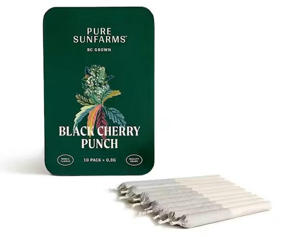 Black Cherry Punch | Minis | 0.3g each | 10pk