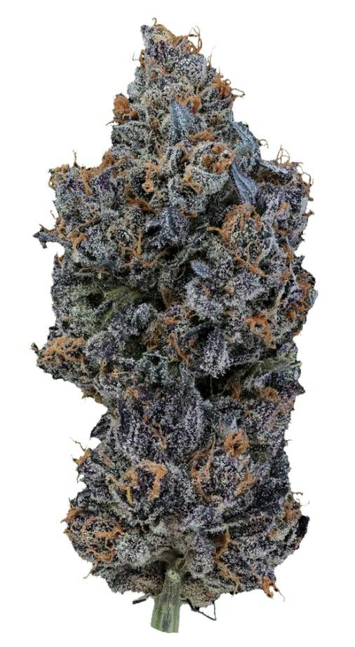 Jezebel | Smalls | 3.5g