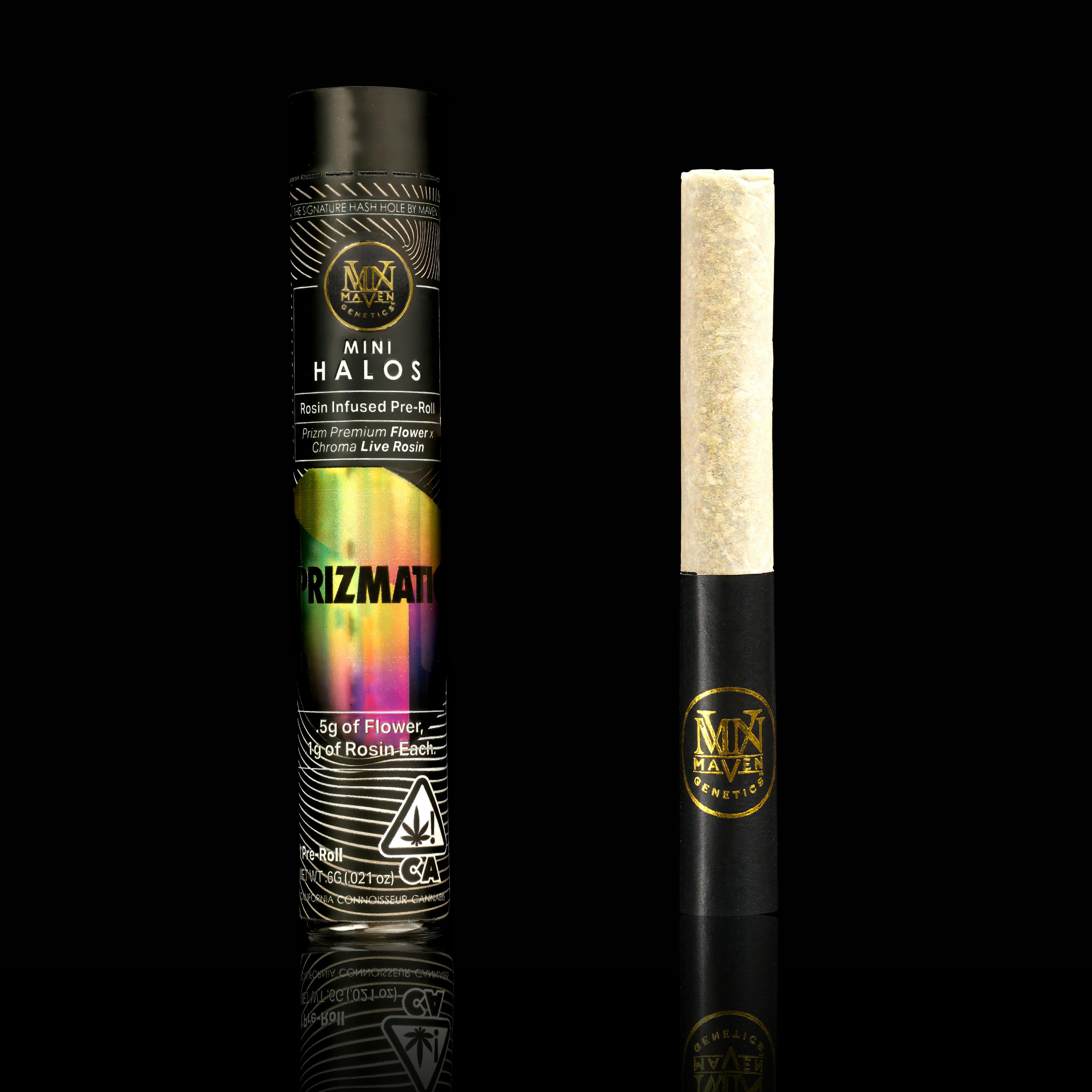 Maven Genetics — Prizmatic Mini Halos Single
