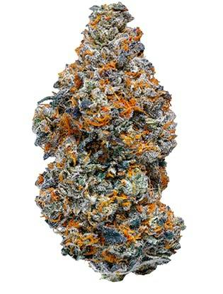 Guava Biscotti | Big Buds | 7g