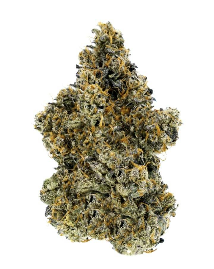 Guava Biscotti | Big Buds | 14g