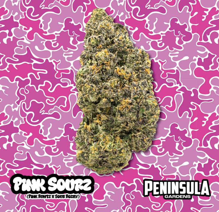 Pink Sourz | Big Buds | 1g by Peninsula Gardens