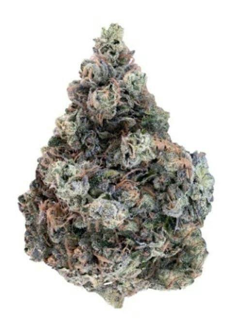 Cactus Milk | Big Buds | 14g
