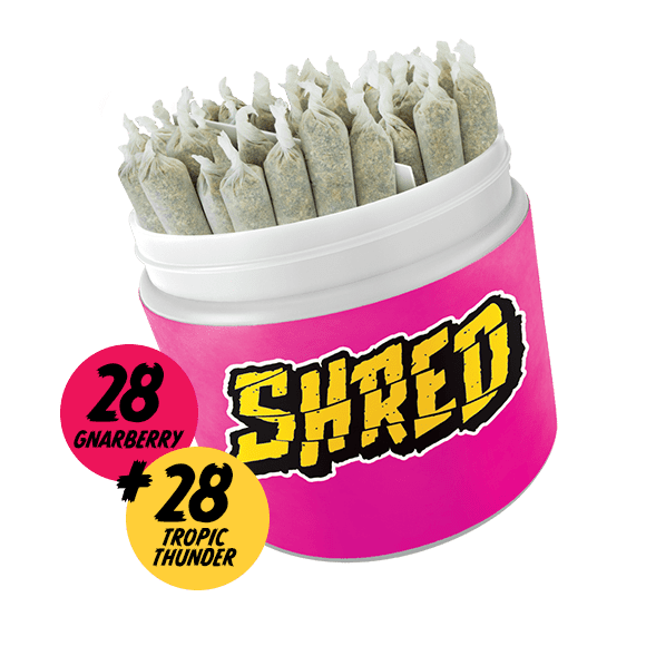 Gnarberry & Tropic Thunder Variety Pack | Minis | 0.5g/ea | 56pk