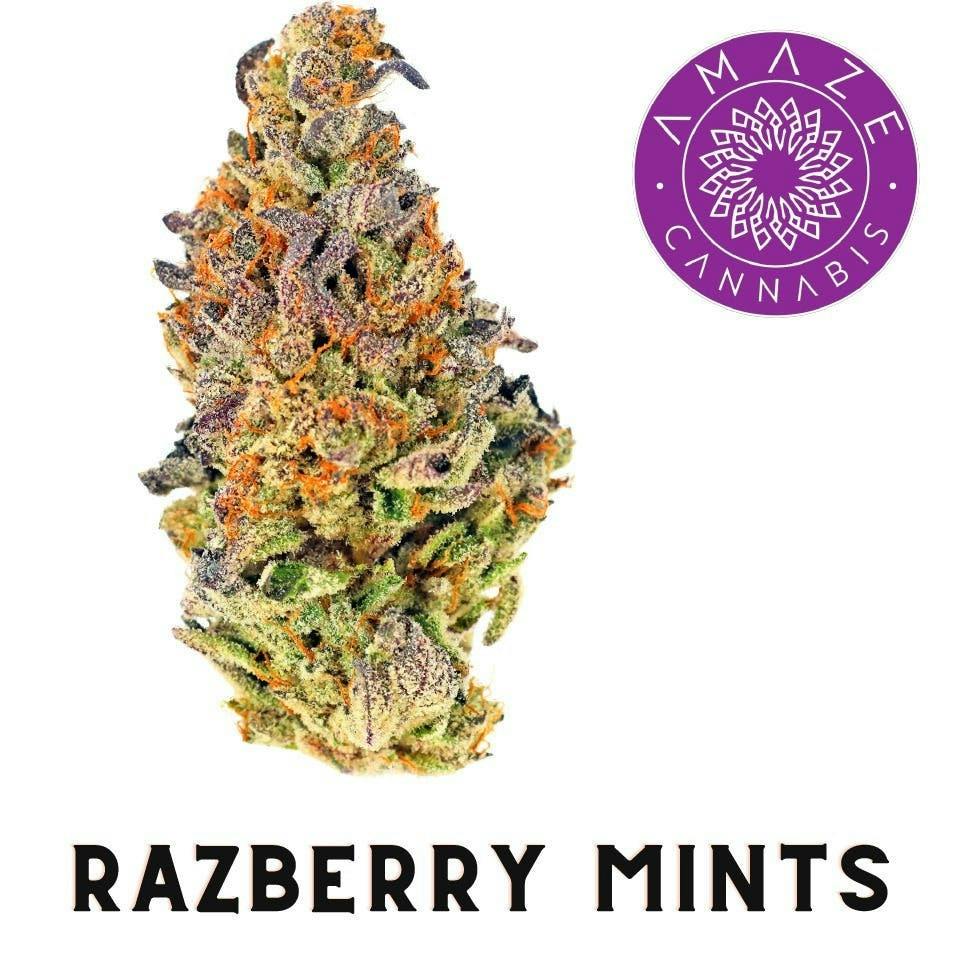 Razzberry Mints | Big Buds | 3.5g by Amaze