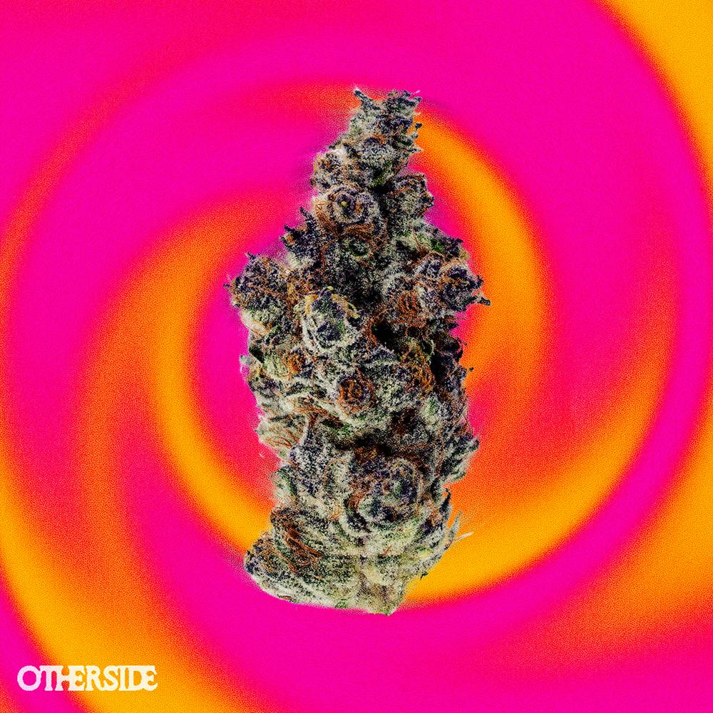 Point Break | Big Buds | 7g