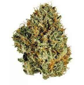 3XOGXGG4 #5 | 3.5g