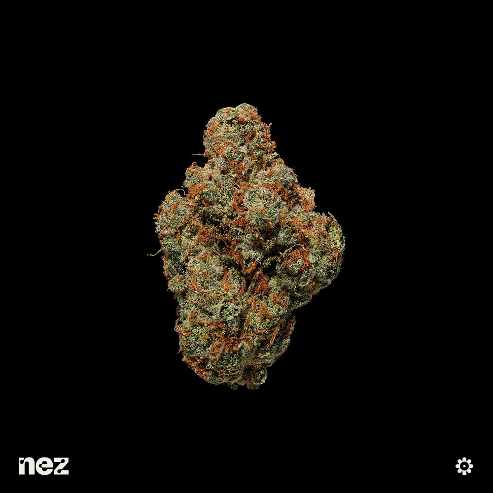 Strawberry Guava | Big Buds | 14g