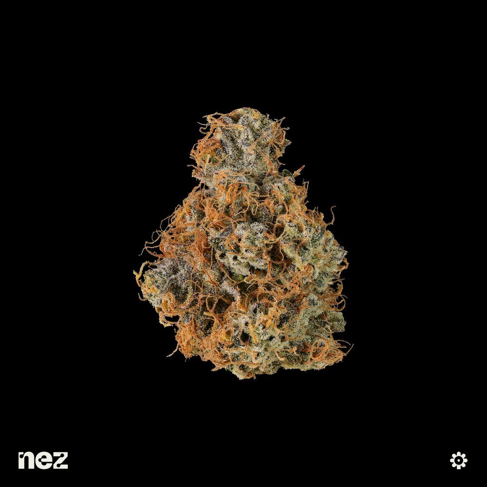 Big Buns | Big Buds | 14g