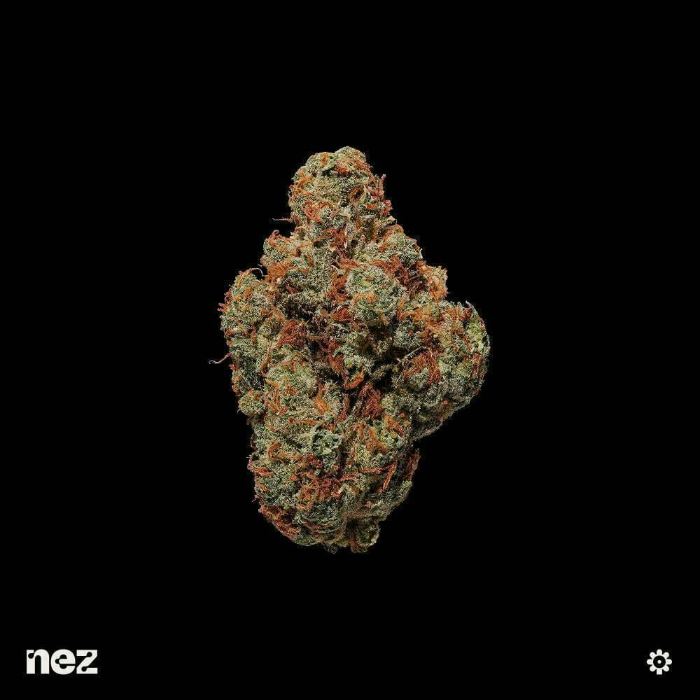 Strawberry Guava | 1g