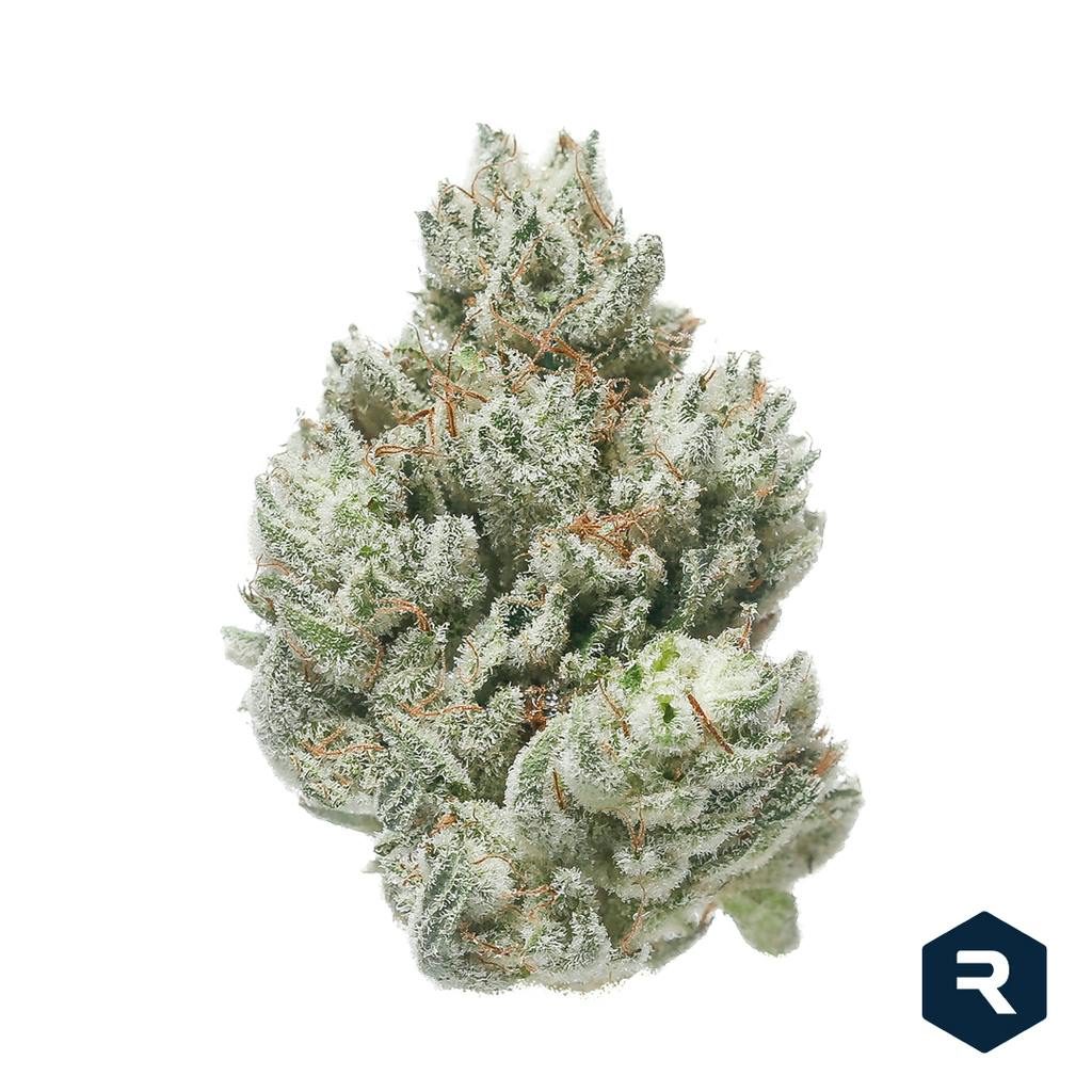 Cookie Dos | Big Buds | 3.5g at Bold Dispensary