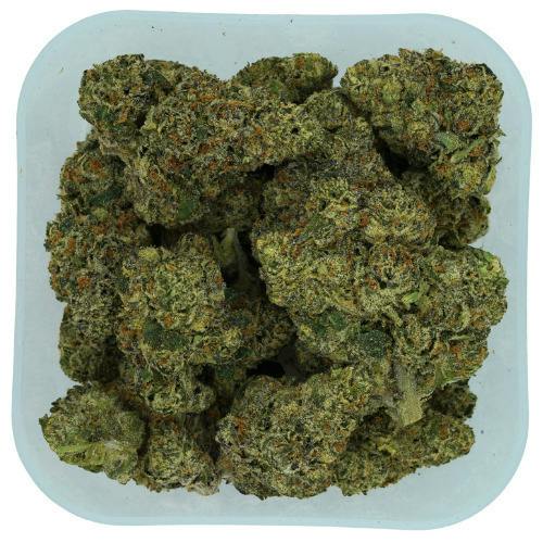 Red Pop | 1g