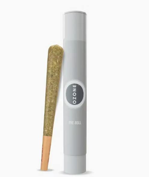 Modified Bananas | Infused Joints | 1g