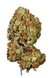 Starfruitz | 14g