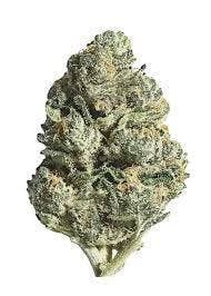 Moroccan Peaches | 7g