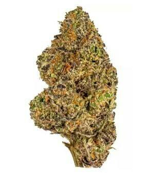 Pink Runtz | Big Buds | 7g