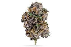 Blue Andes | 14g
