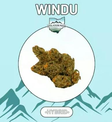 Windu | Big Buds | 14.15g