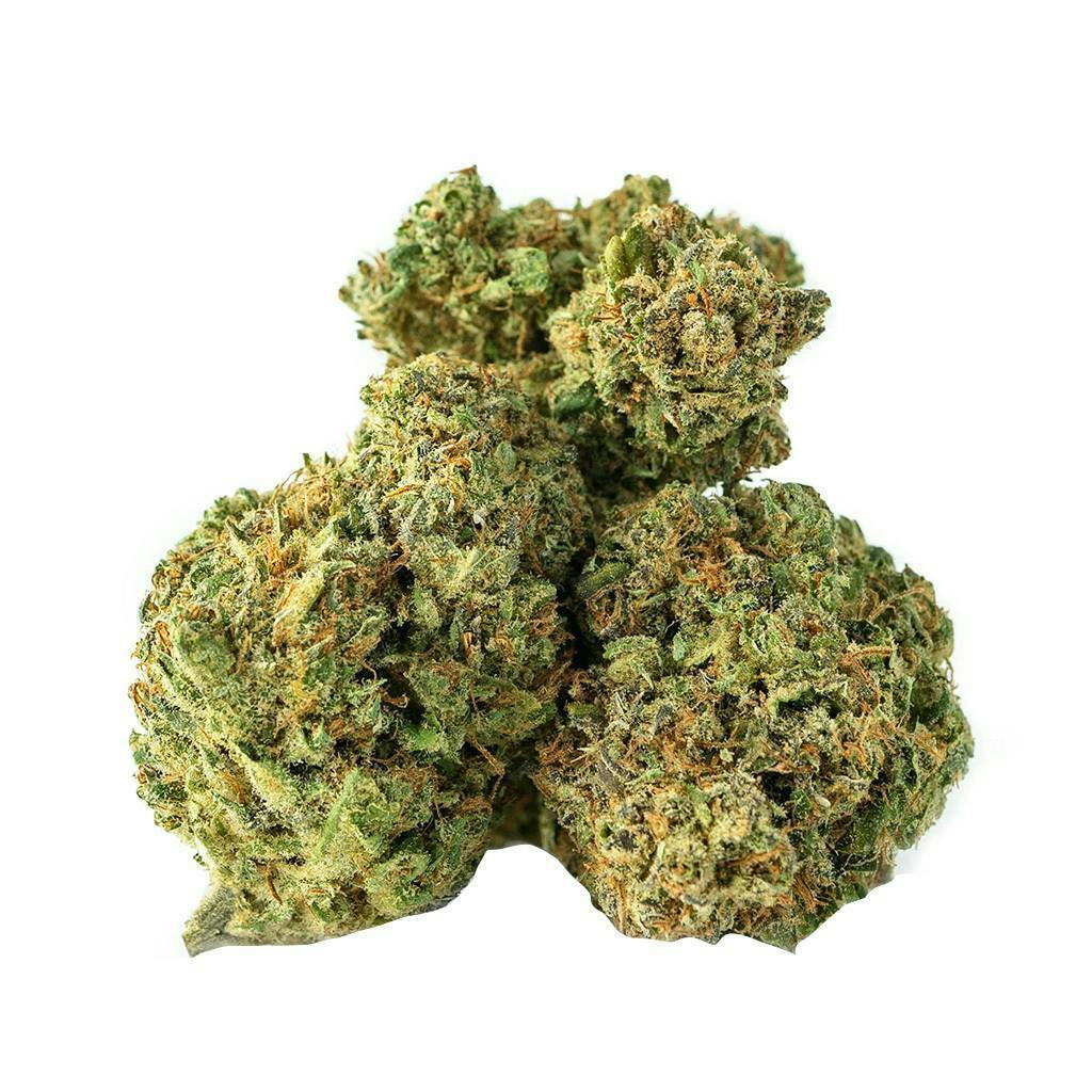 AC/DC | Big Buds