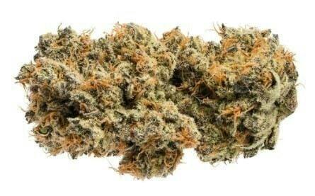 Critical Kush | Big Buds | 3.5g