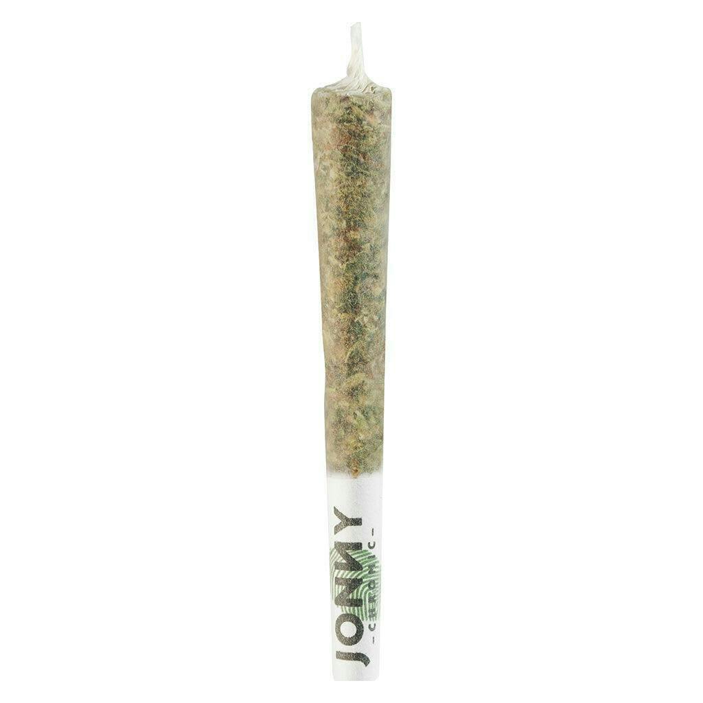 Galactic Spice | Minis | 0.5g | 10pk