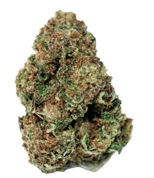 Apricot Head | Big Buds | 7g