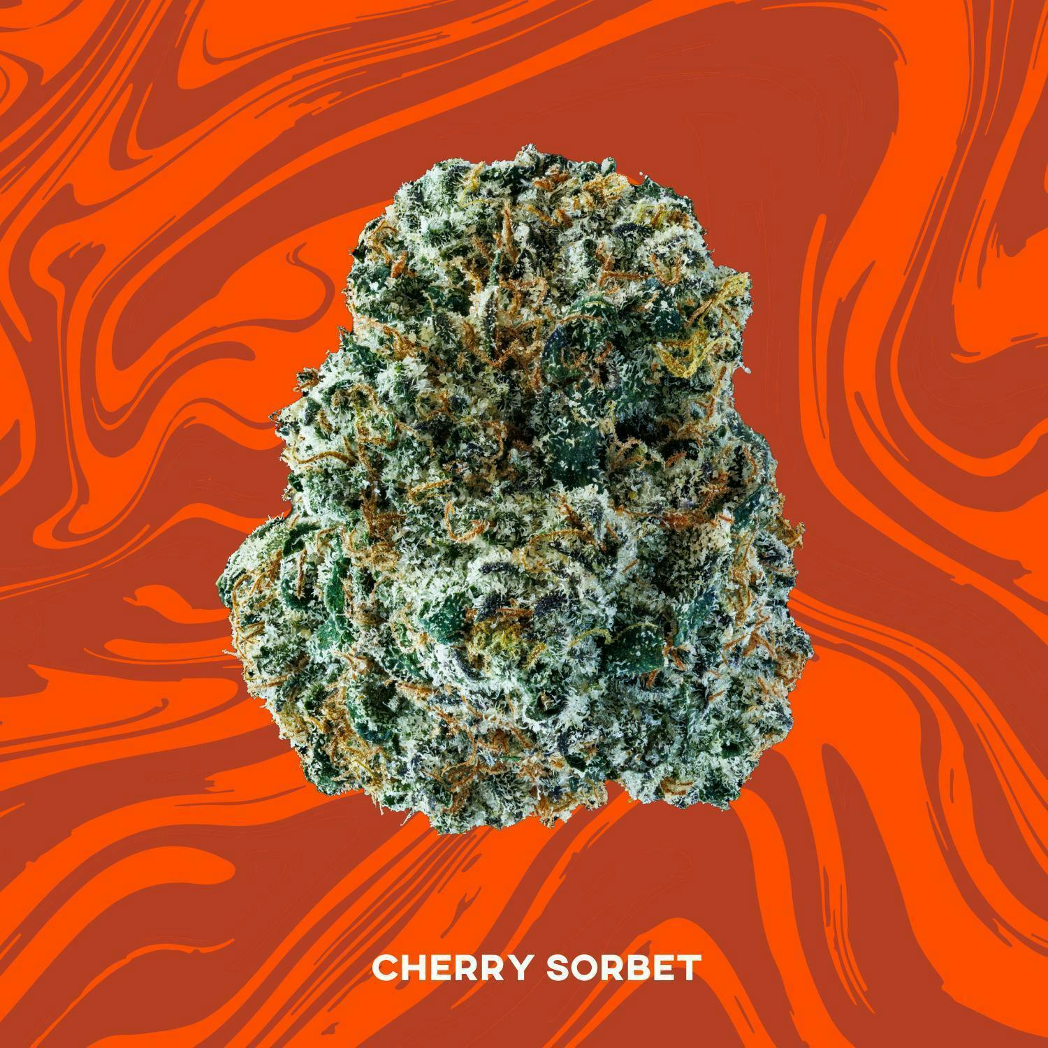 Cherry Sorbet | Smalls | 14g