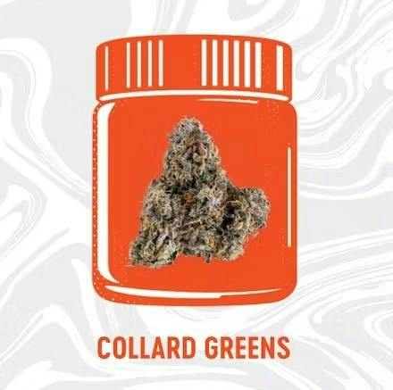 Collard Greens | Big Buds | 3.5g by Vivid