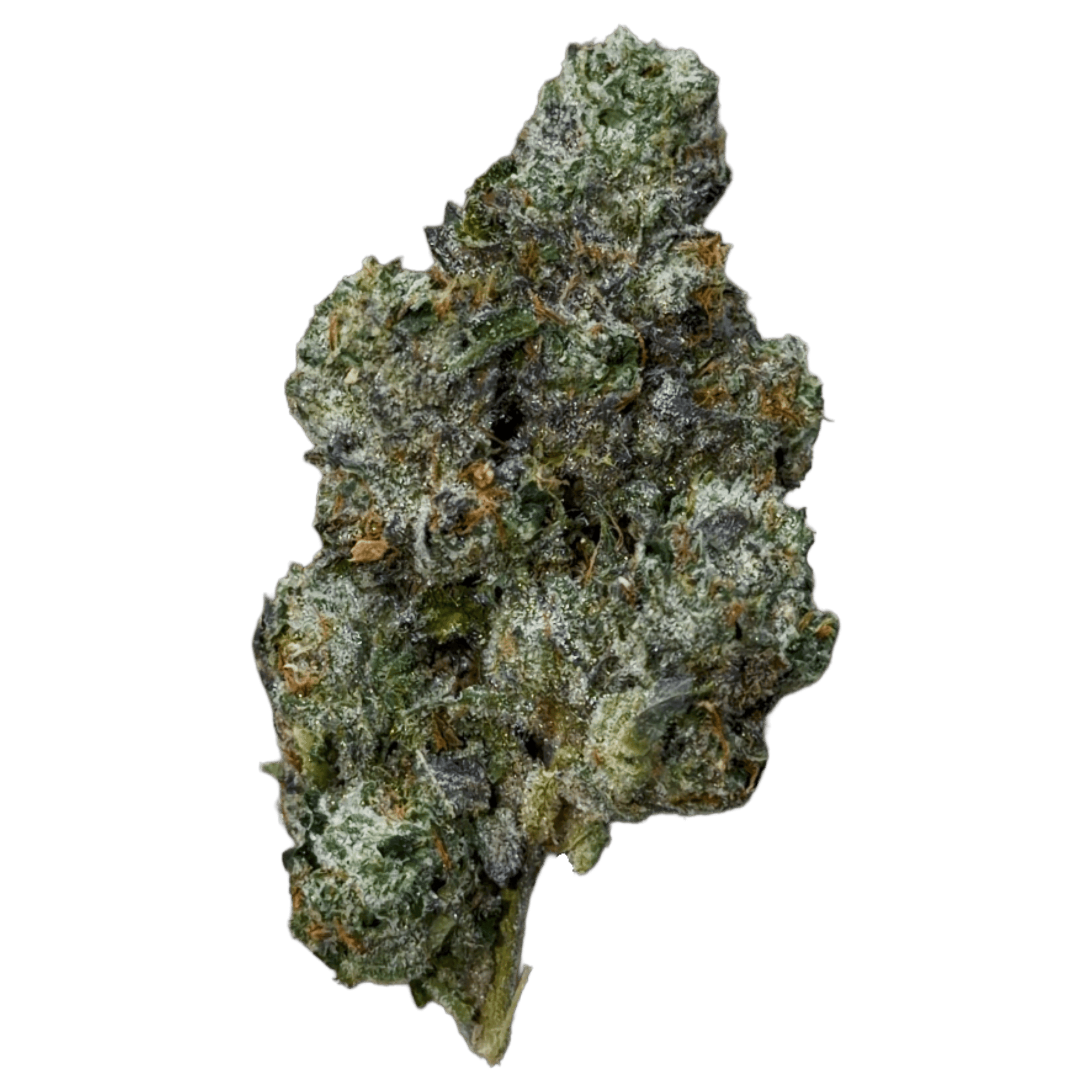 TERP MANSION: Blue Andes