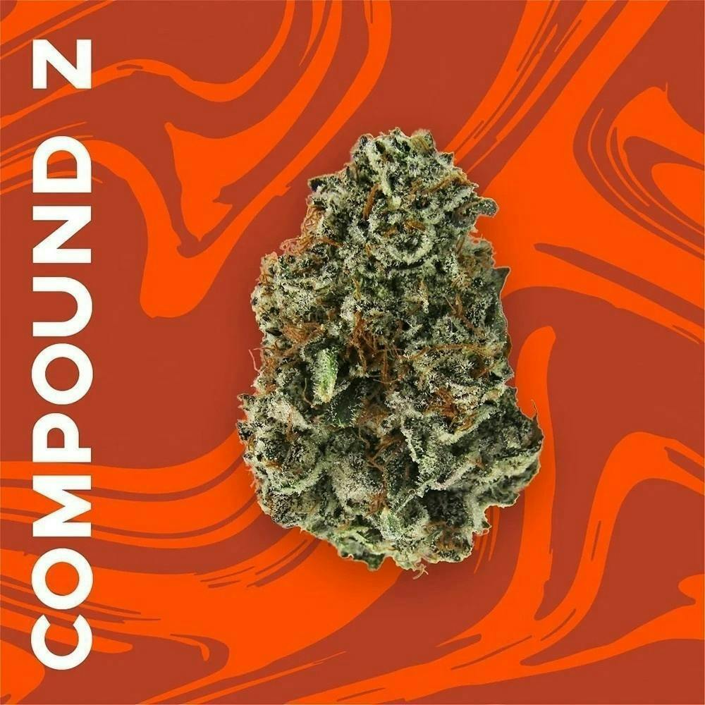 Compound Z | Big Buds by Vivid