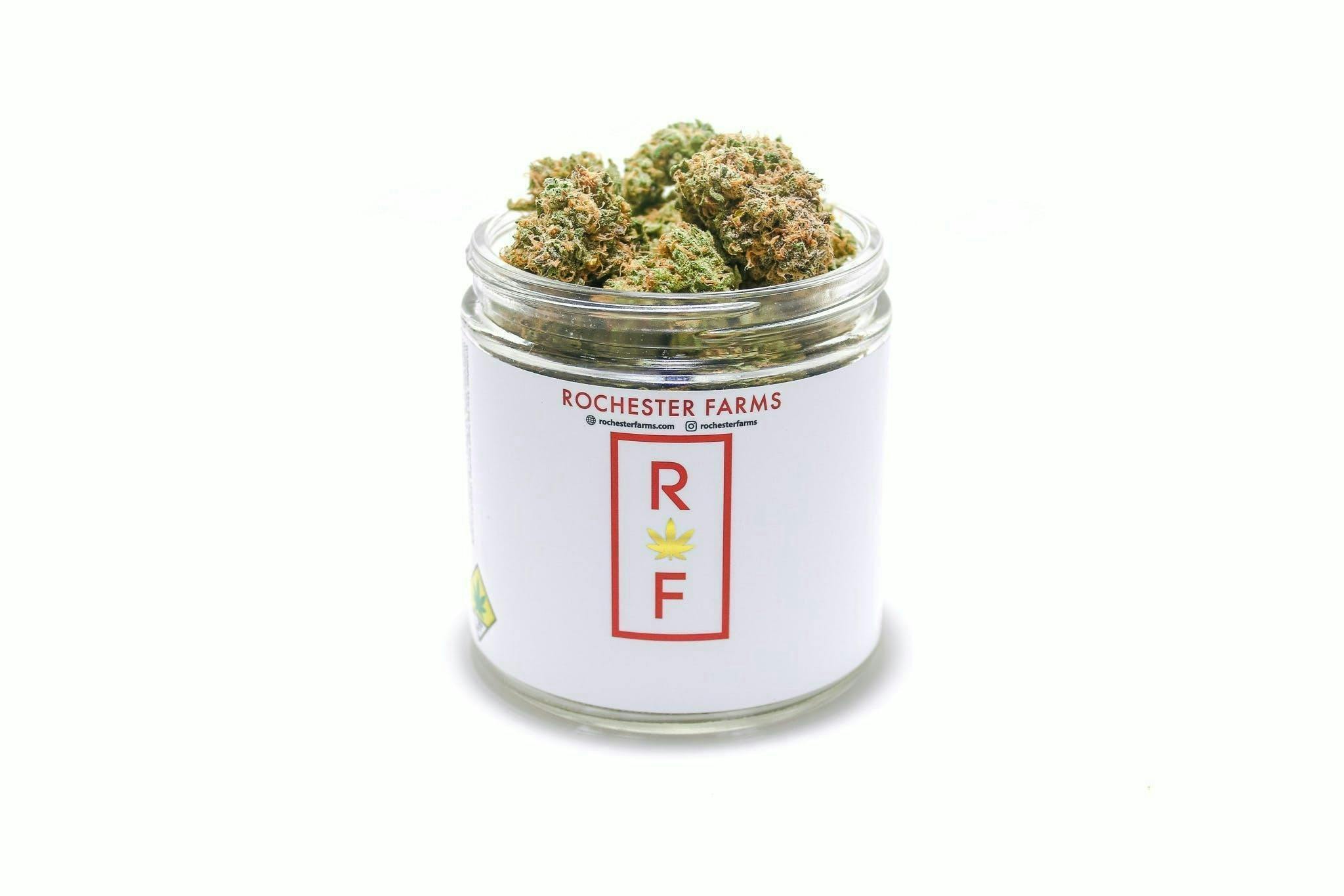 Alpha Runtz | Flower | 14g