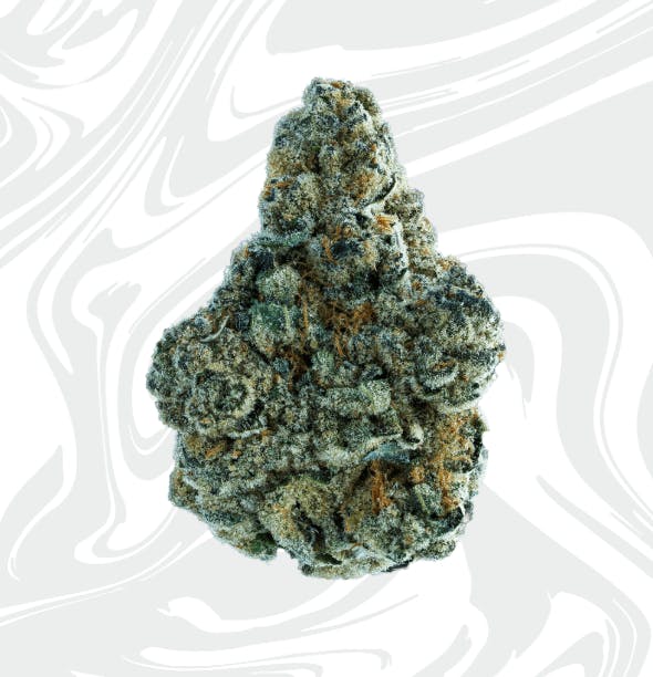 Dulce De Uva | Big Buds by Vivid