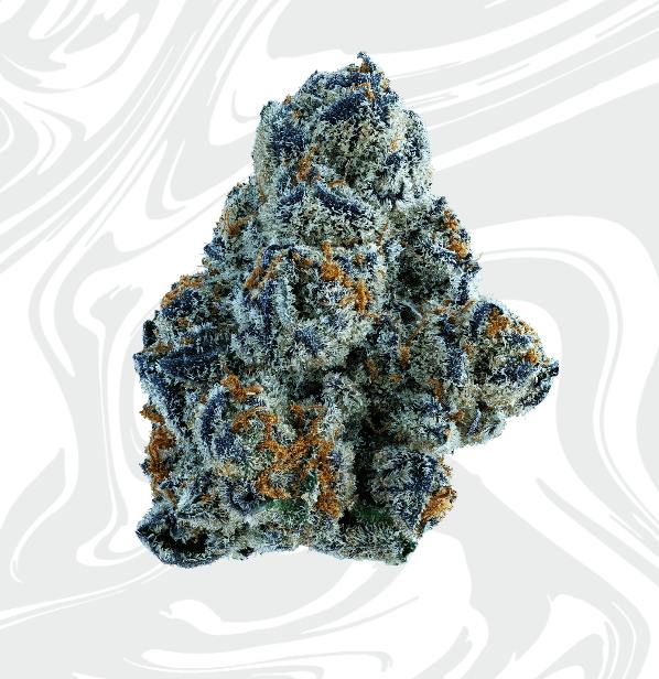 Maple Nectar | Big Buds by Vivid