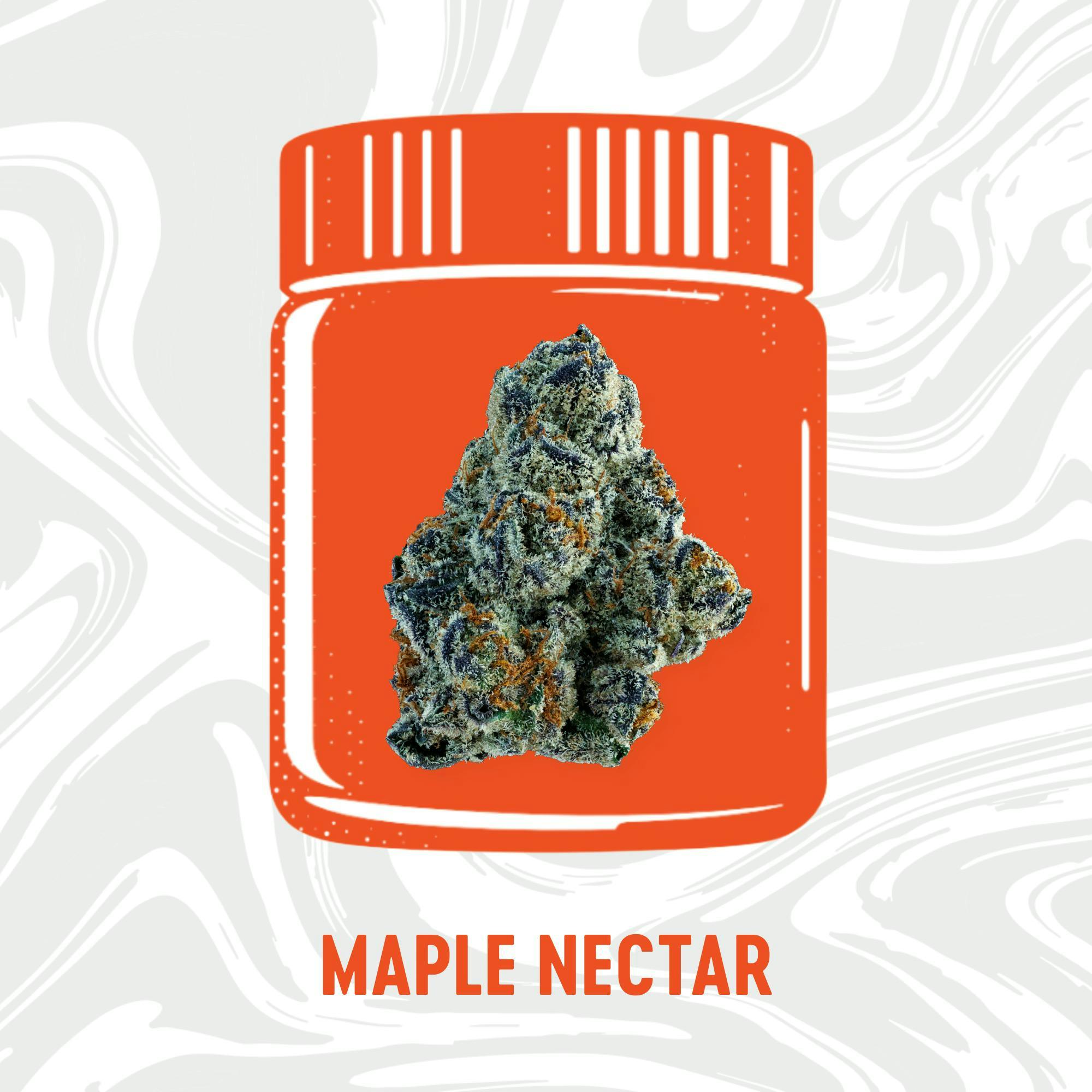 Maple Nectar | Big Buds | 3.5g by Vivid