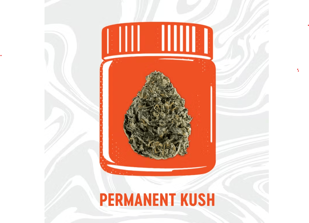 Permanent Kush | Big Buds by Vivid