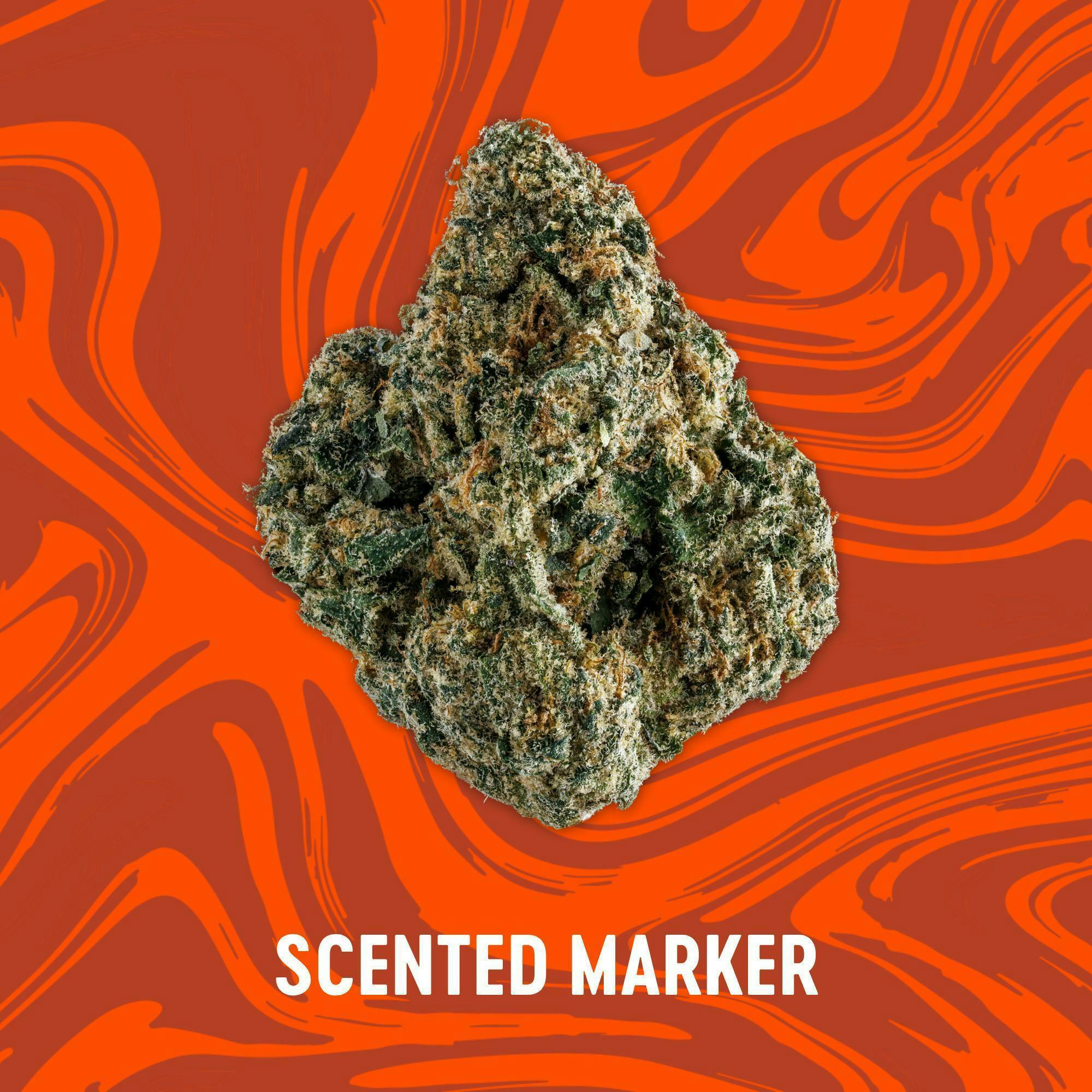 Scented Marker | Big Buds | 3.5g by Vivid