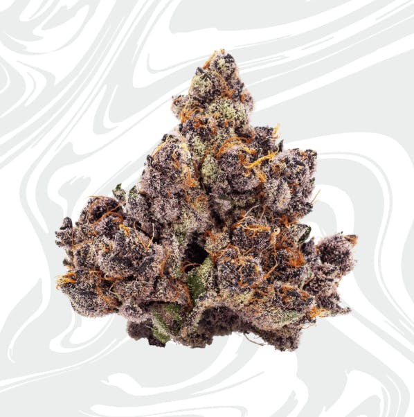 Trop Cherry | Big Buds | 28g by Vivid